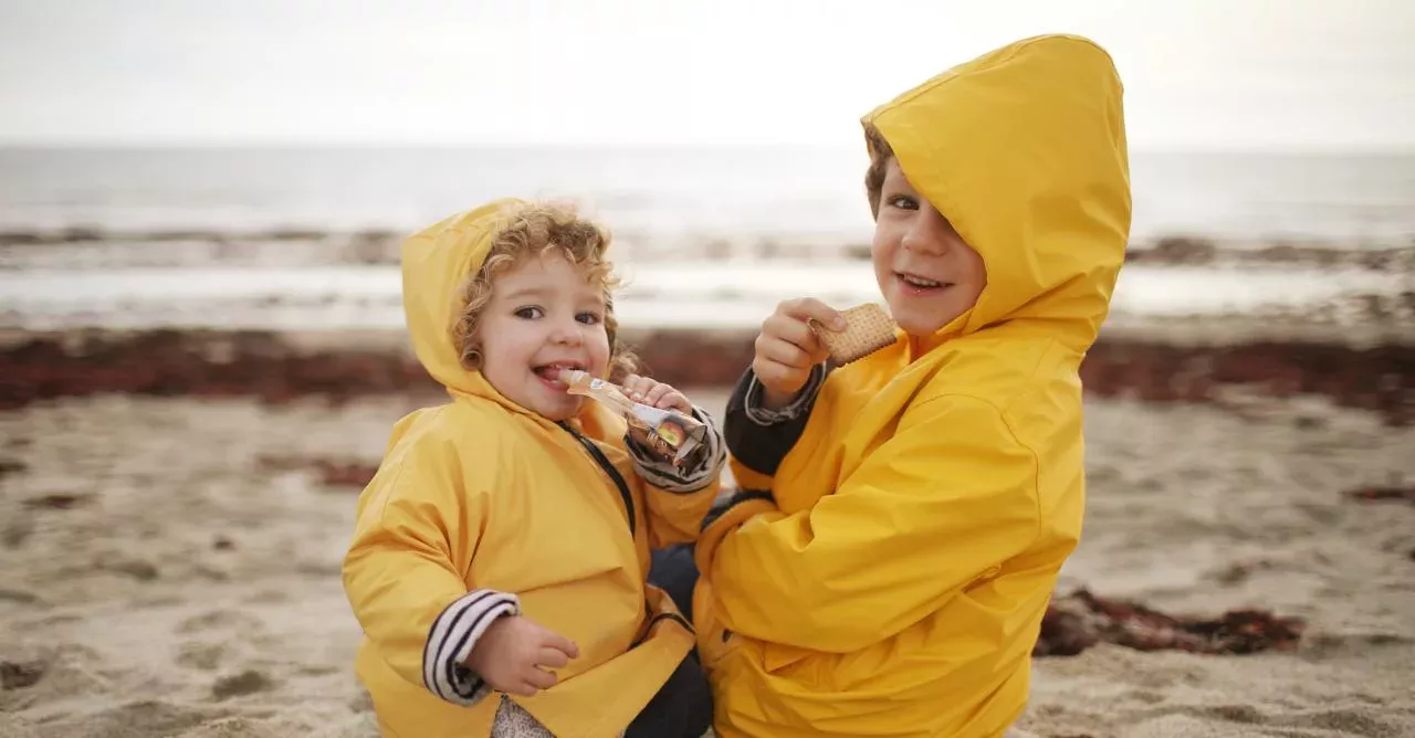 50% Of All Beaches Could Disappear By 2100 Because Of Climate Change