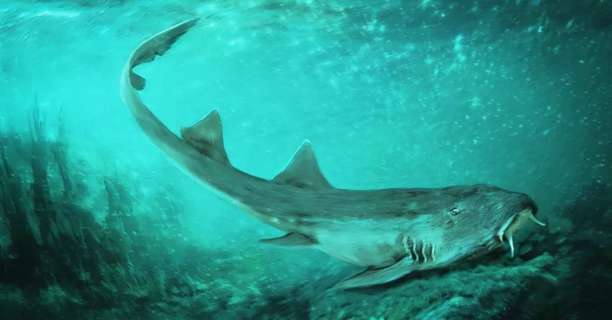 ancient shark