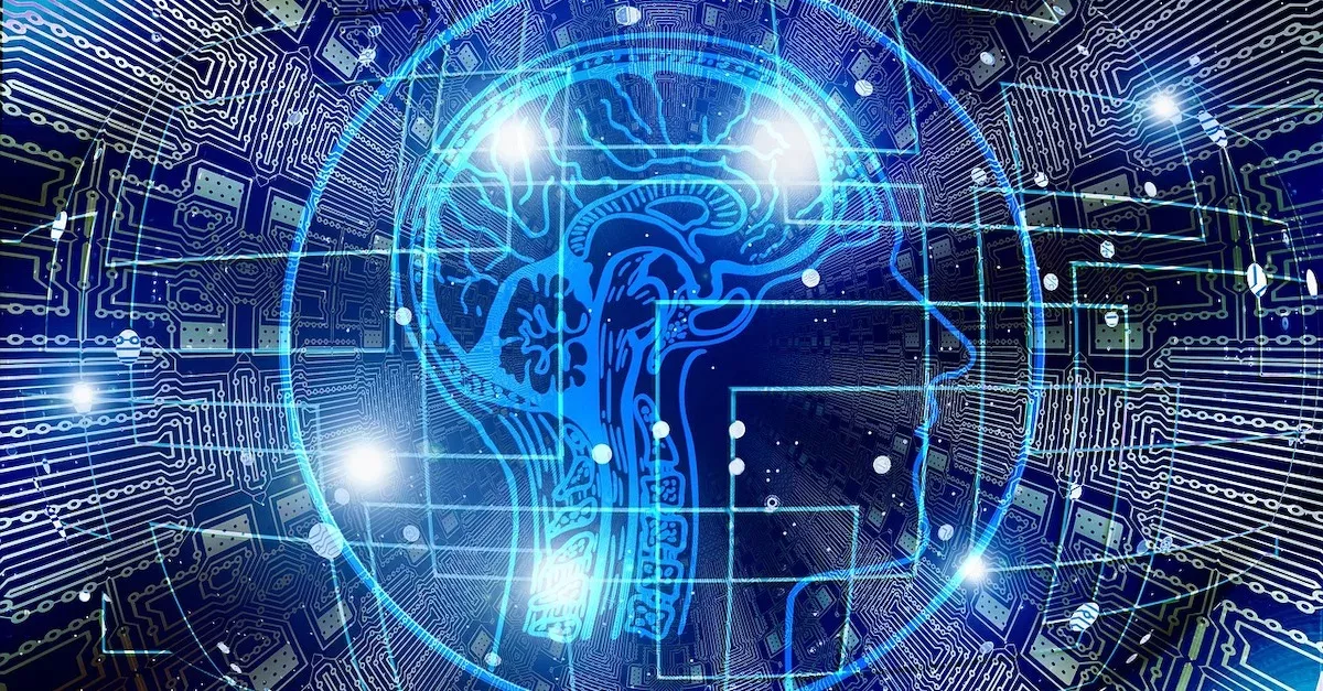 Brain