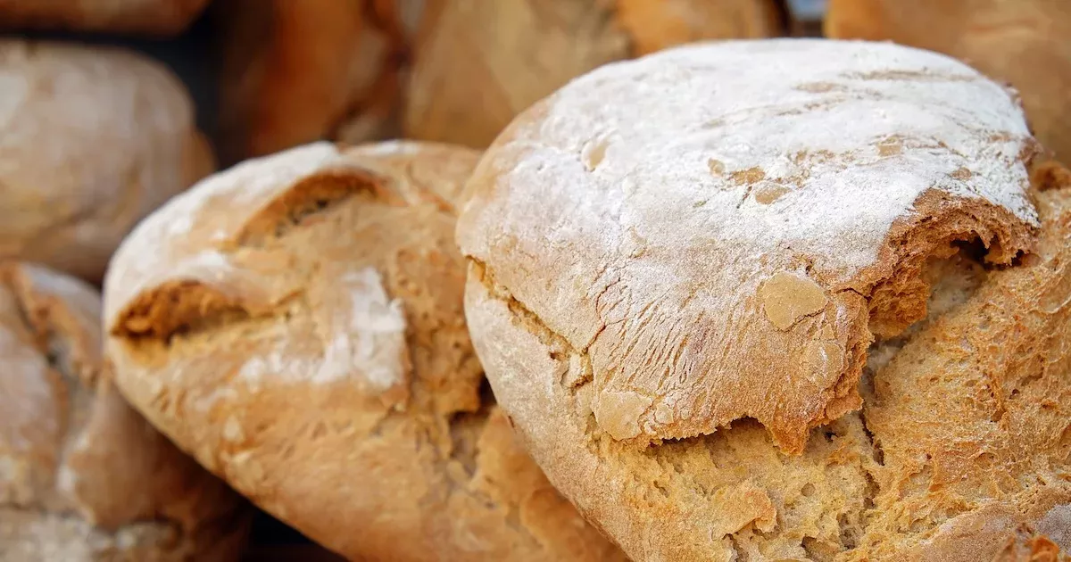 Bread