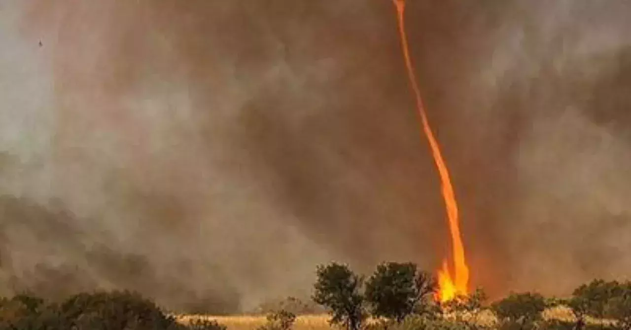 'Firenados' are a rare but very real phenomenon in Australia