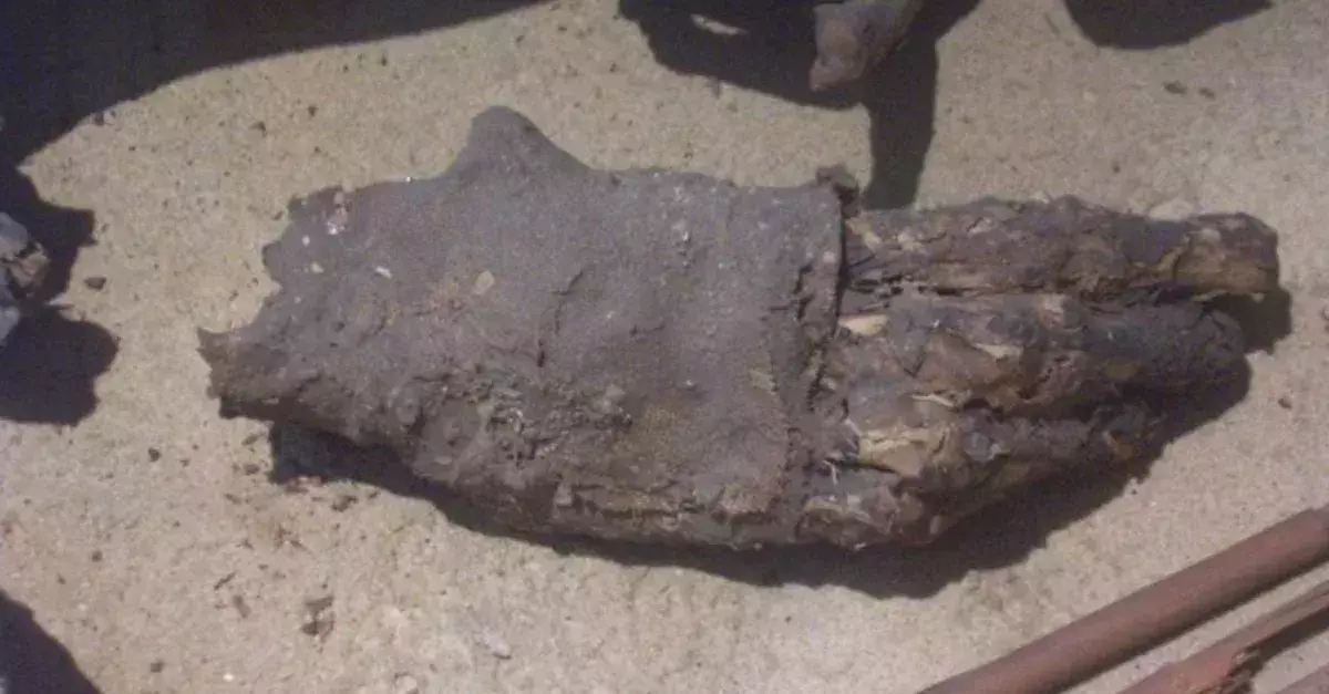 Foot of a mummy