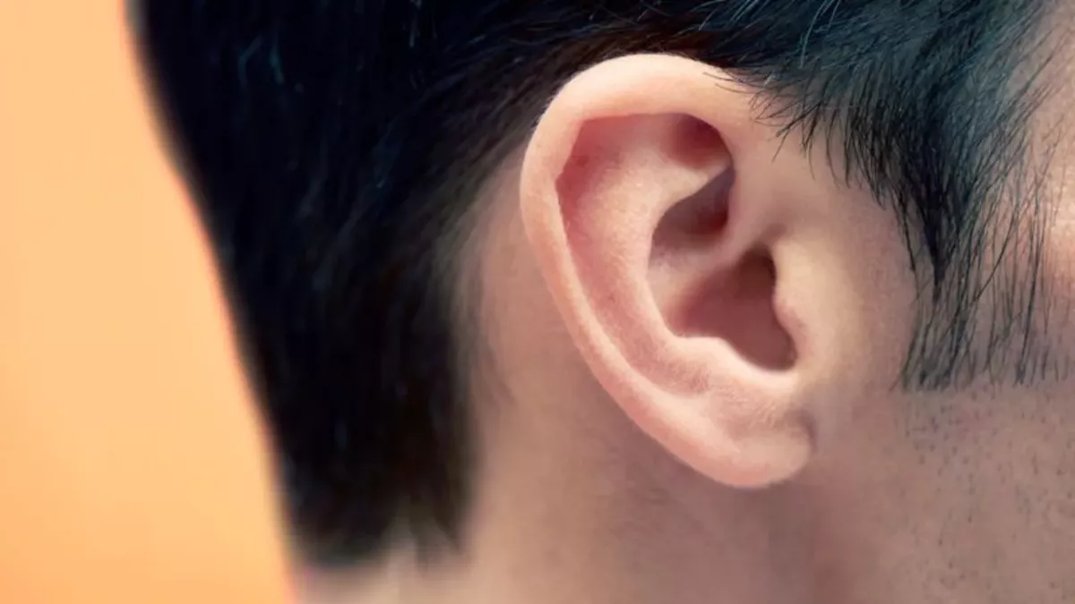 Fossils from 125 million years ago reveal why we have ears