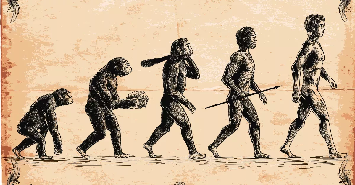 How Did Humans Learn To Walk Upright