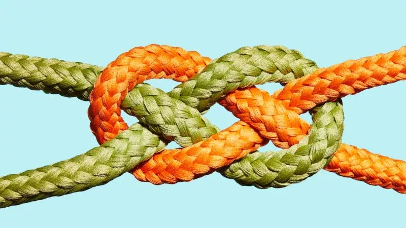 Knot