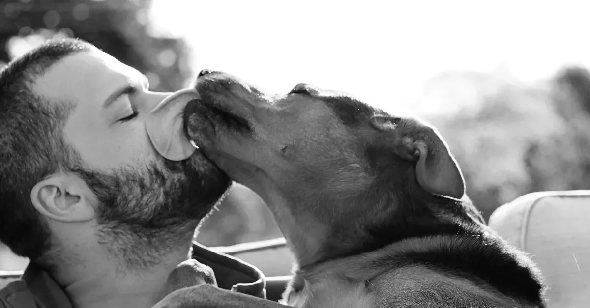 A Man Passed Away After His Dog Licked Him