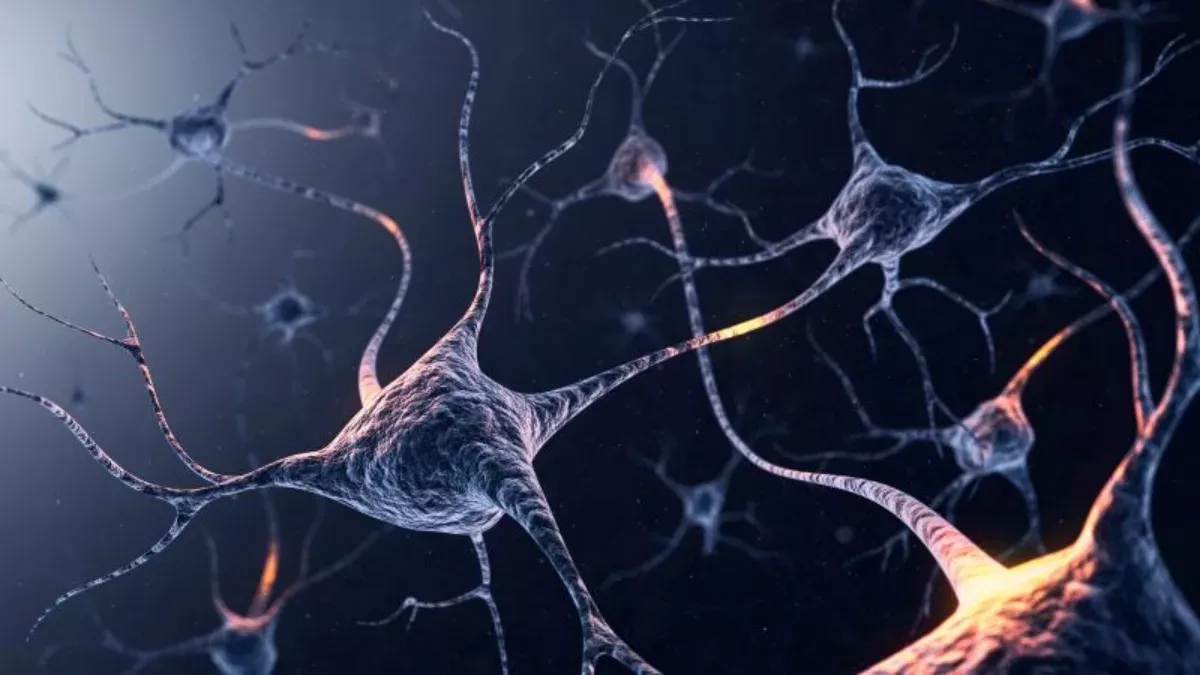 Neuro Brain