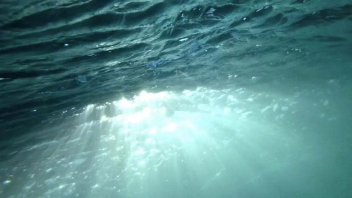 Ocean