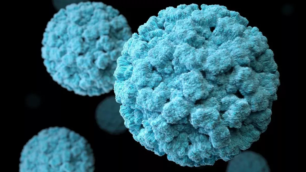 Several new coronaviruses discovered in China!