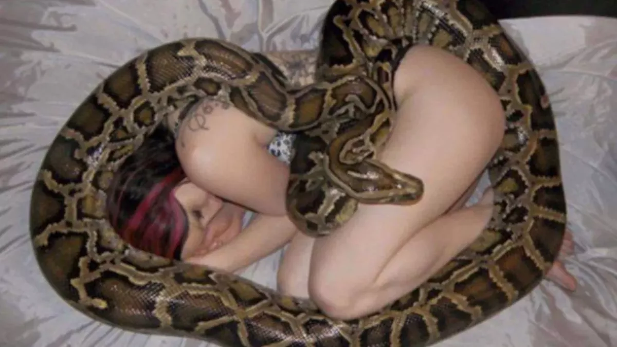 She Slept With Her Python Every Night Until Her Vet Revealed the Shocking Truth