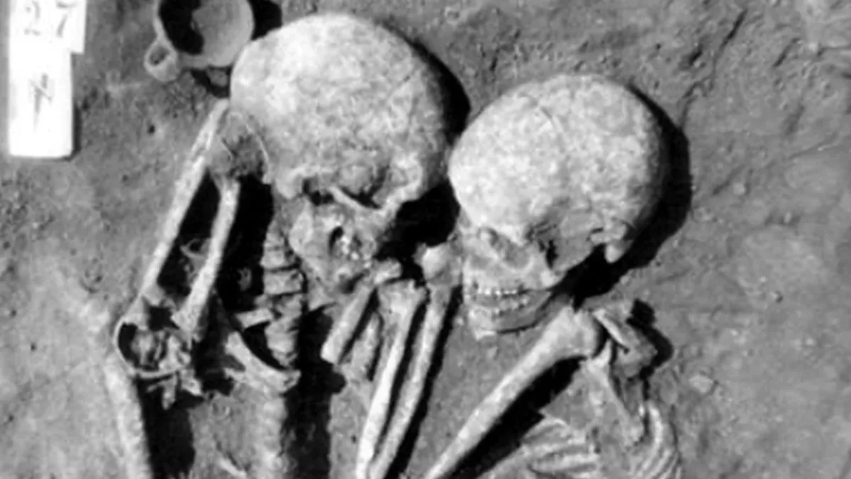 Skeletons hugging