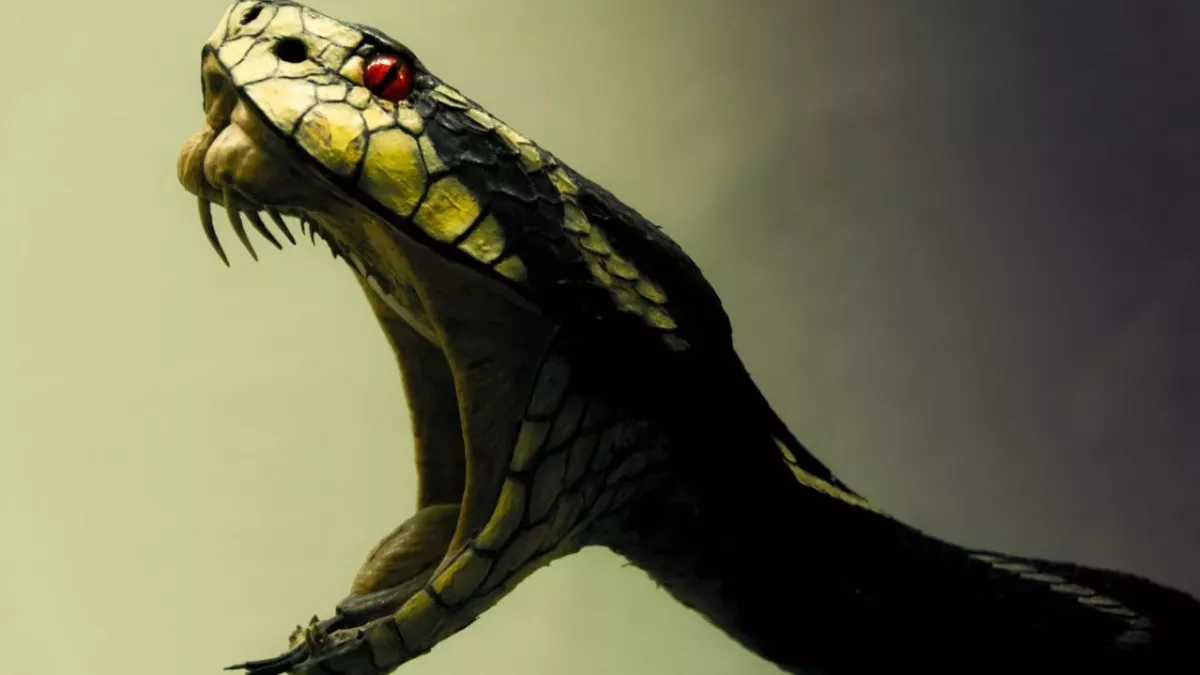 Snake showing fang