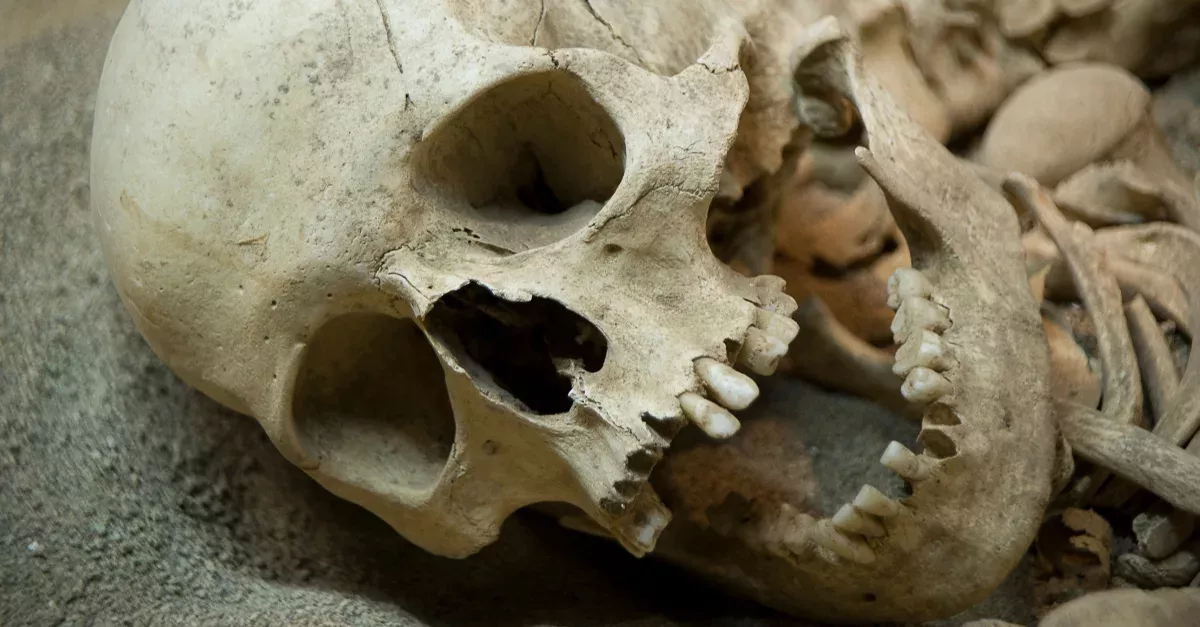 This Terrifying Secret About Our Ancestors Has Researchers Shook