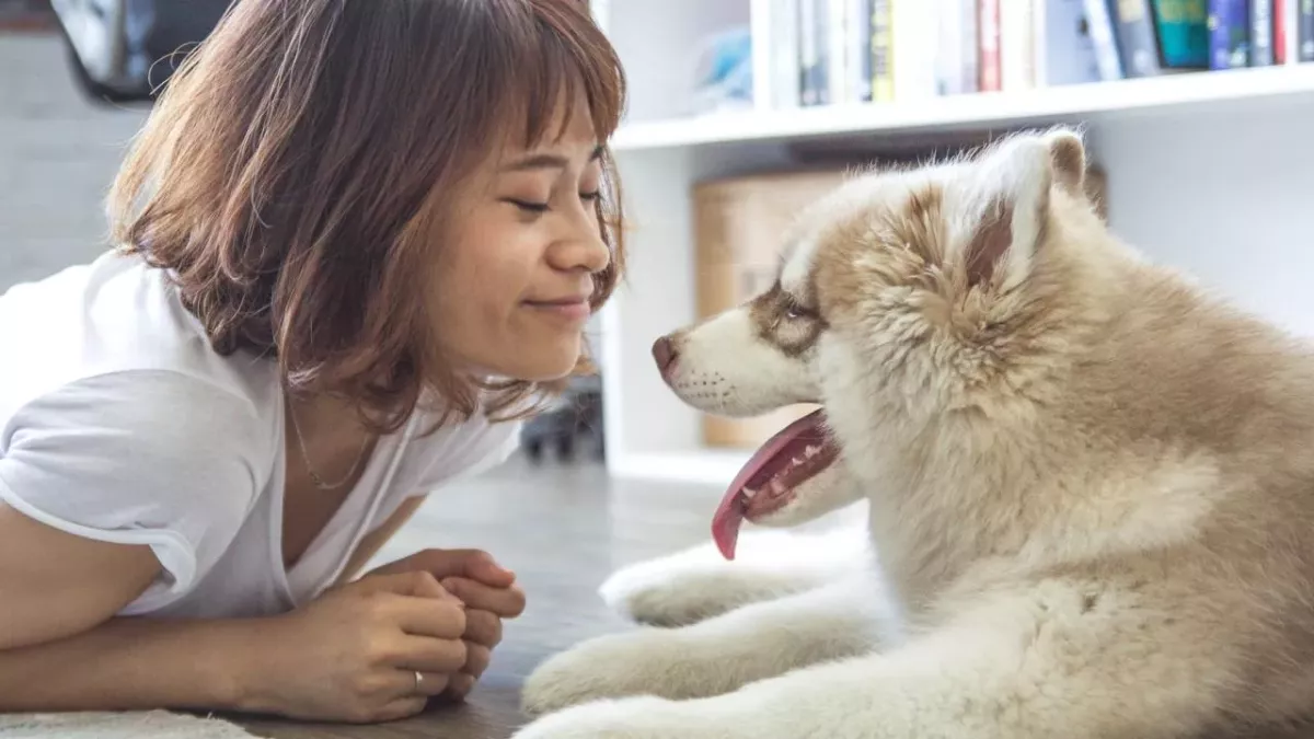 Woman looking at puppy