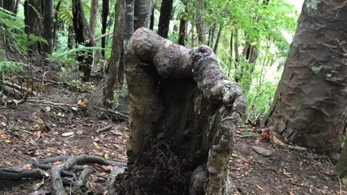 Zombie Tree