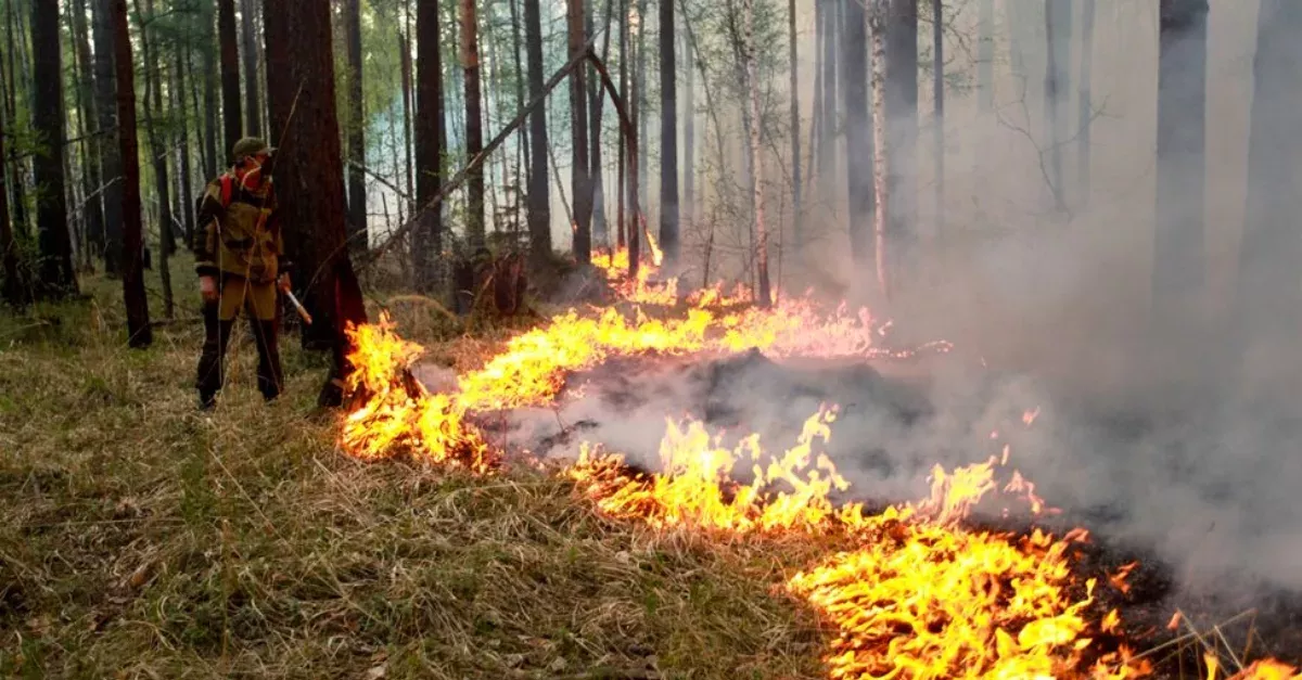 Arctic On Fire 