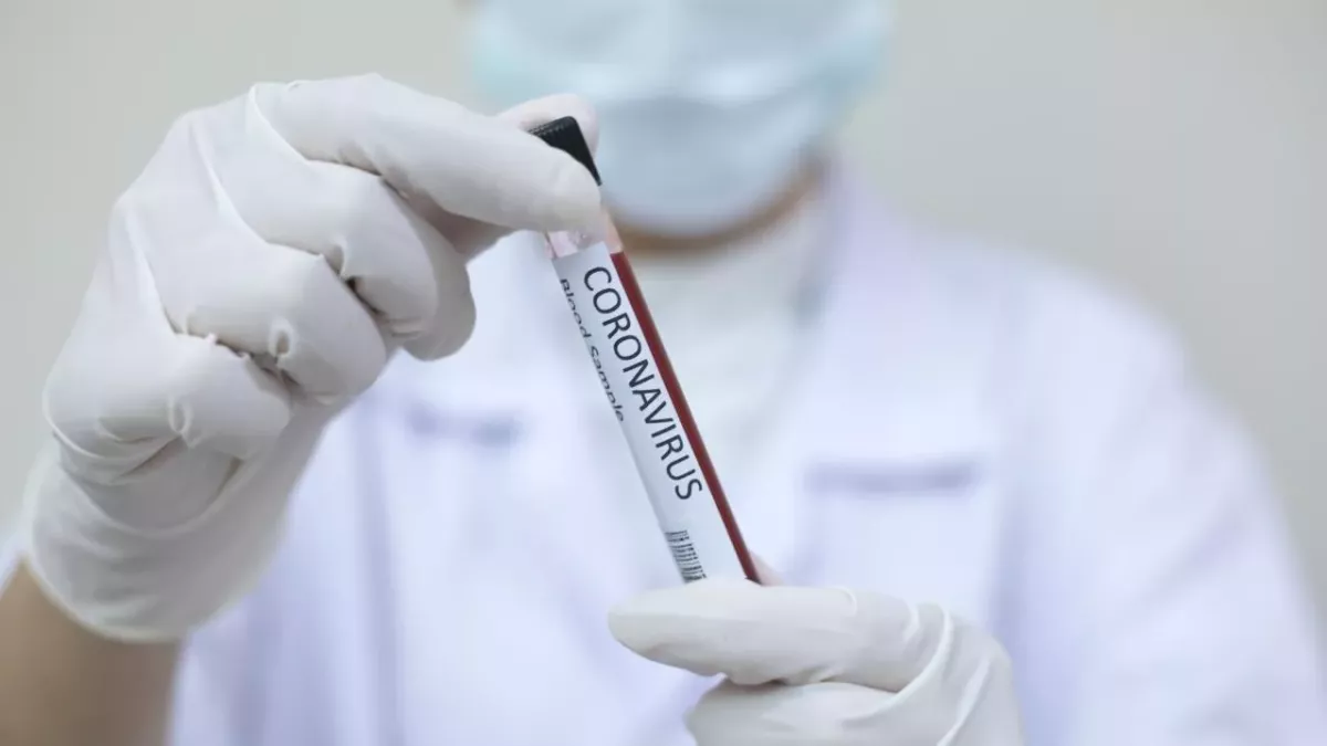 COVID-19 Infections May Provide ‘Months of Immunity’