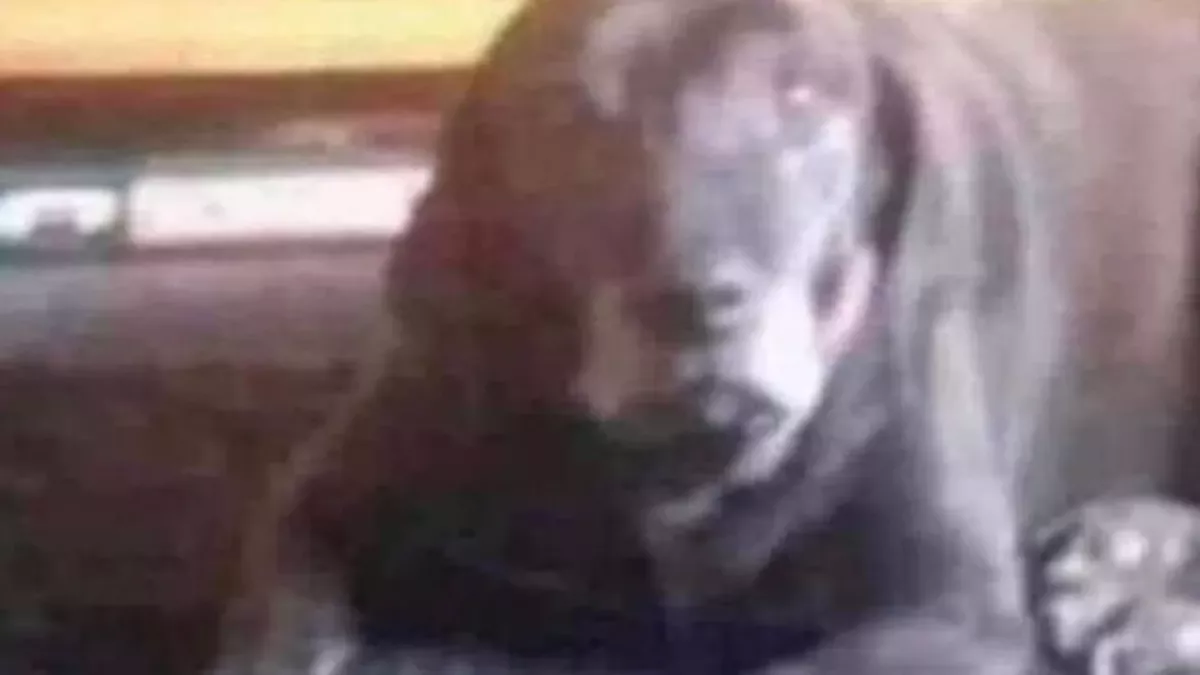 Default image