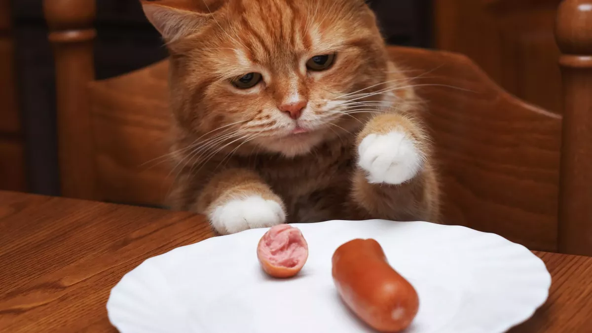 Default image