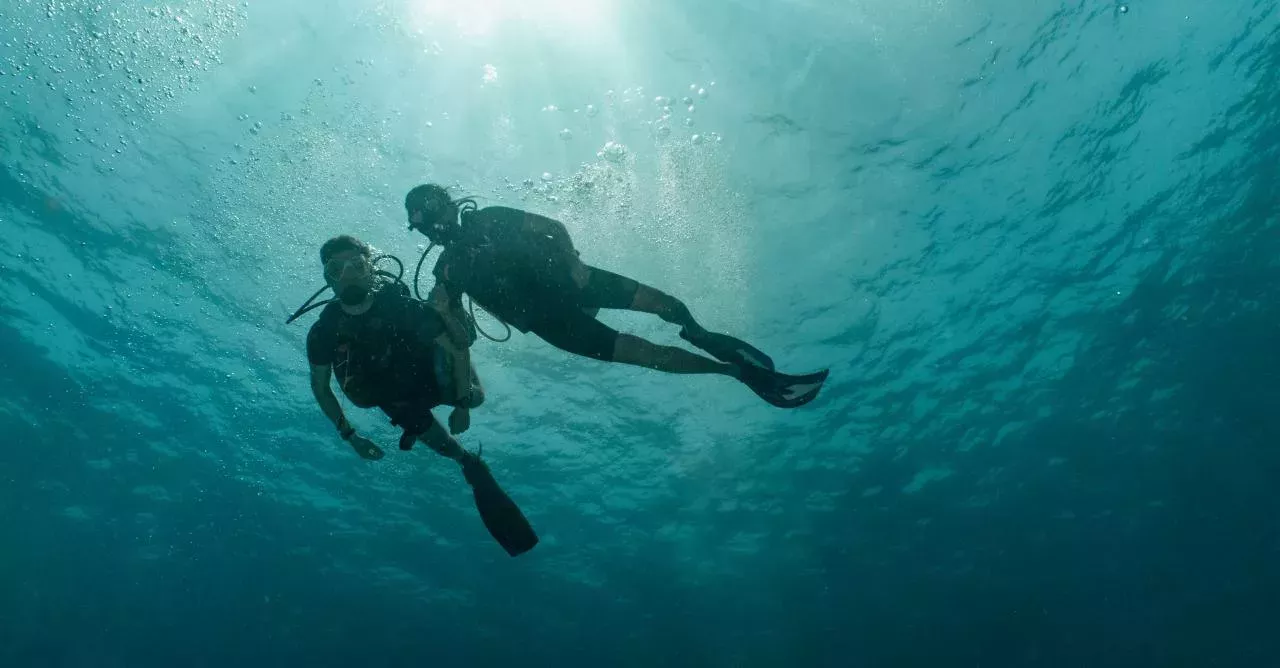 Divers
