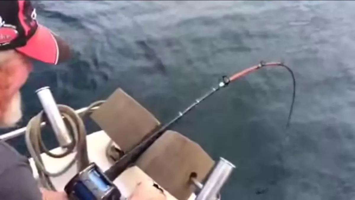 Fishing