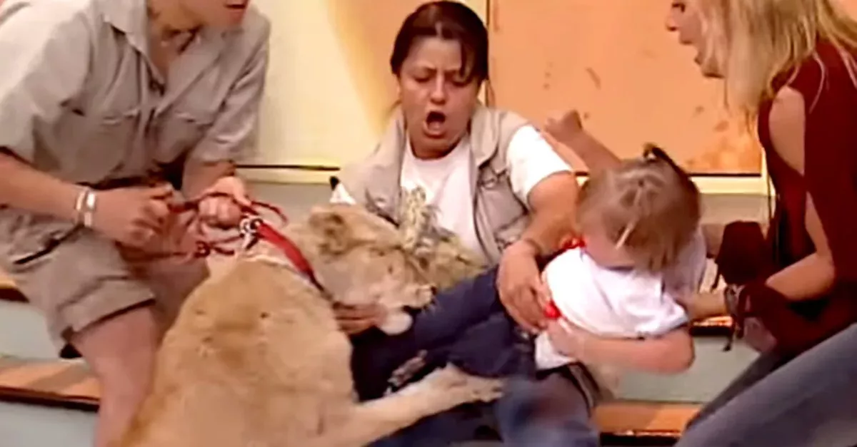 Lion