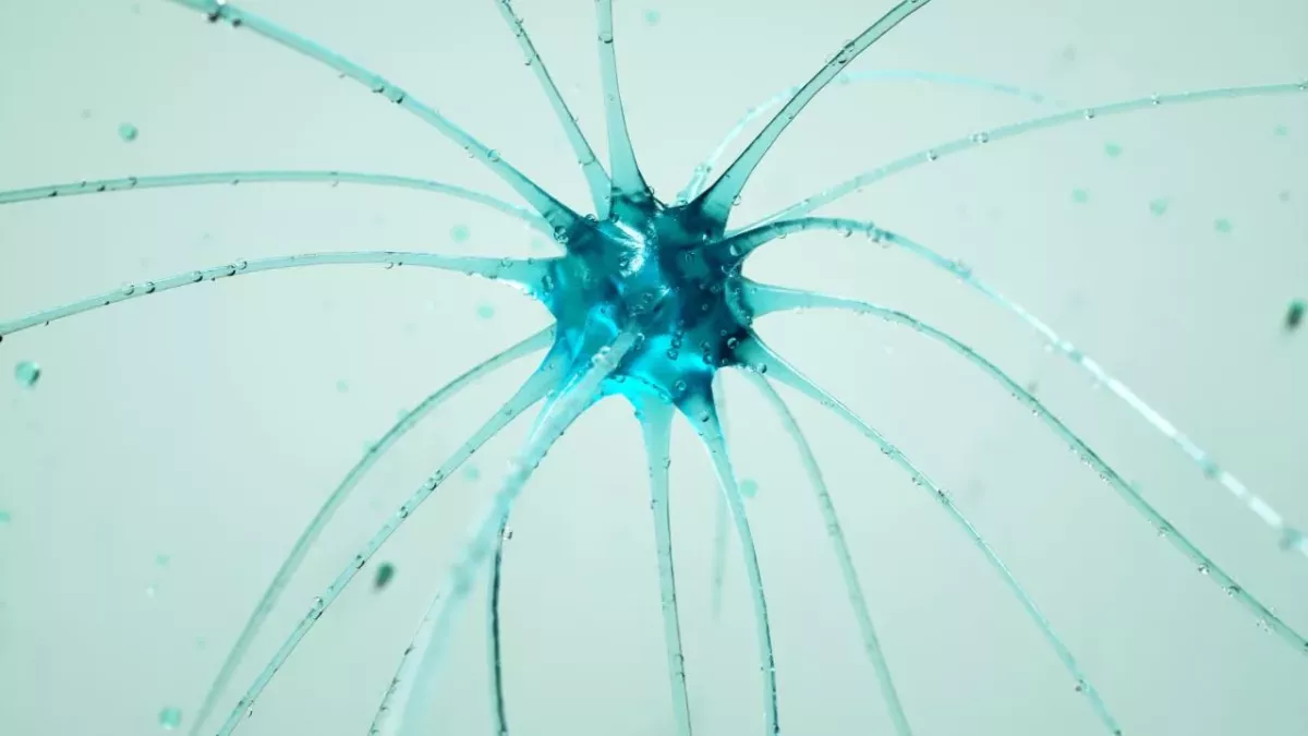 Neuron cell