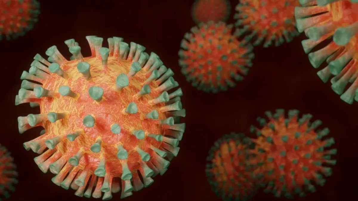The newest South African COVID-19 strain is worrying experts