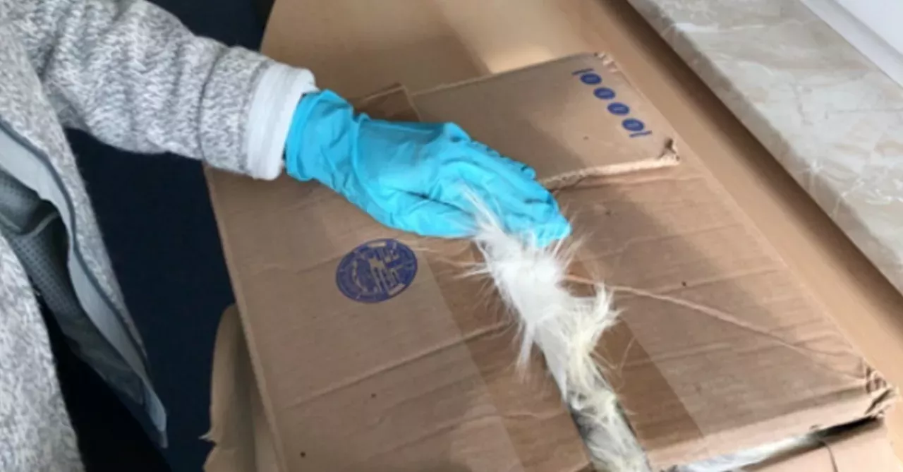 Package