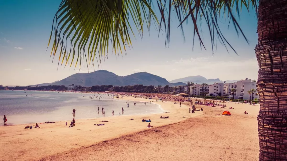 PM optimistic that summer holidays will be allowed 