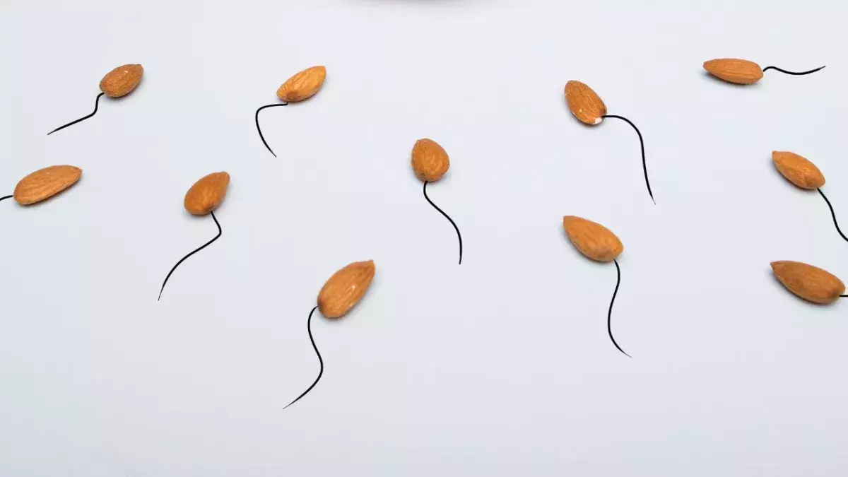 Sperm count