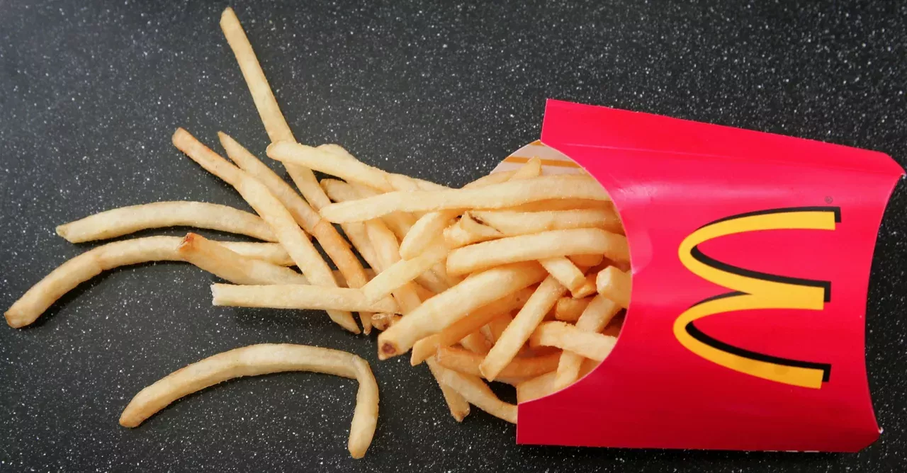 There are 19 ingredients in McDonald's fries, and only one is potatoes...