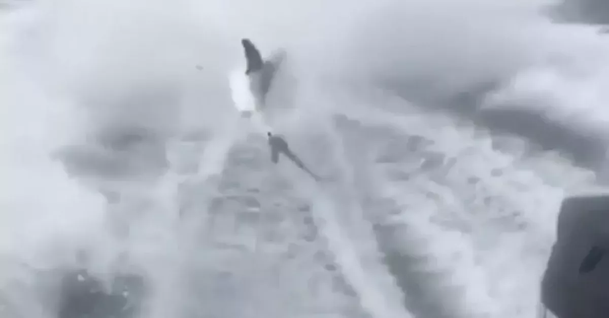 Three men were arrested after a viral video showed them torturing a shark