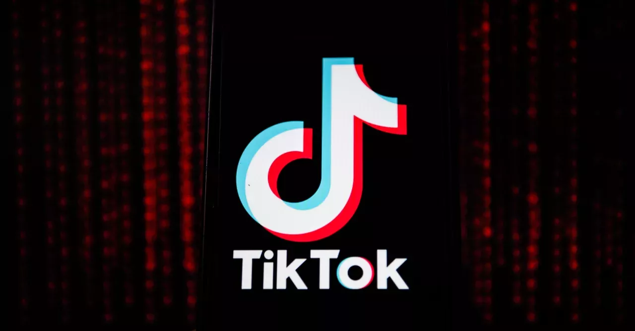 TikTok is being used by many impressionable teens trying to get 'famous'