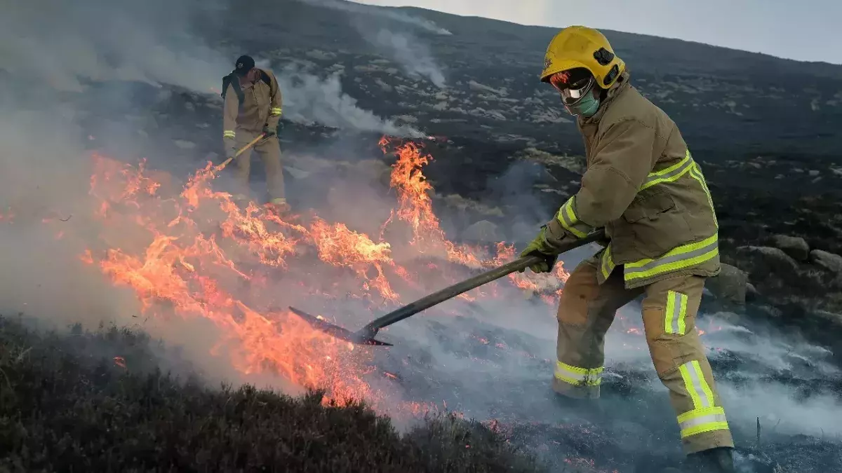 Wildfires in Northern Ireland