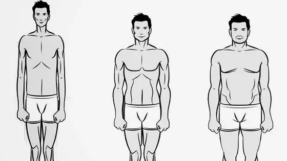 Body Type