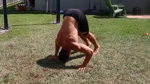Shoulders
