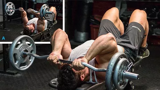 Triceps