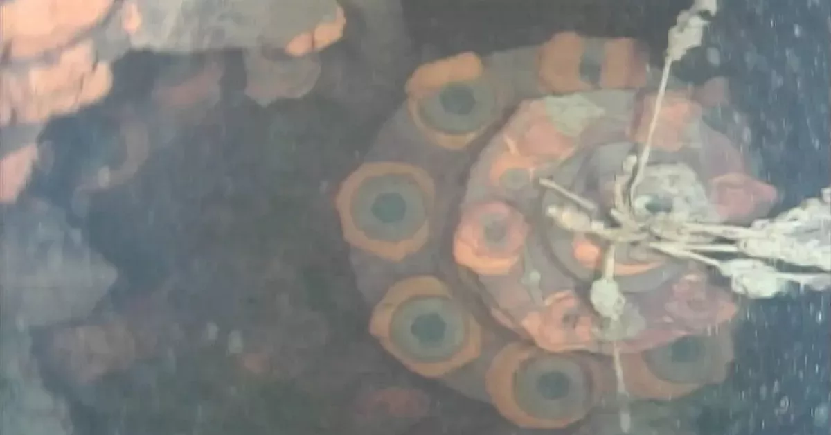 Fukushima