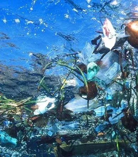 A polluted ocean