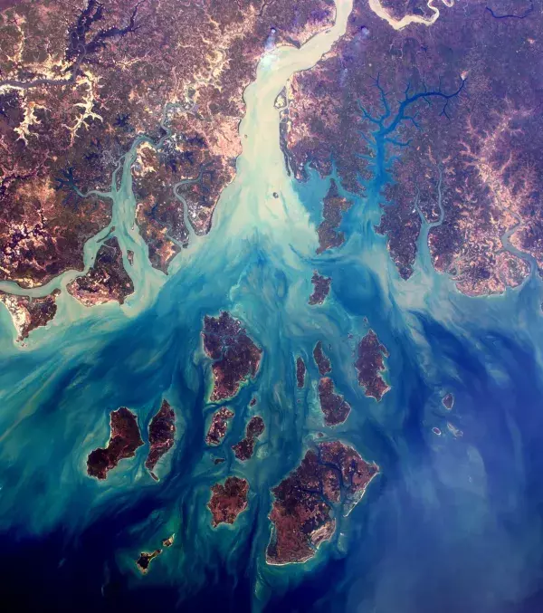 The Saloum delta in Senegal