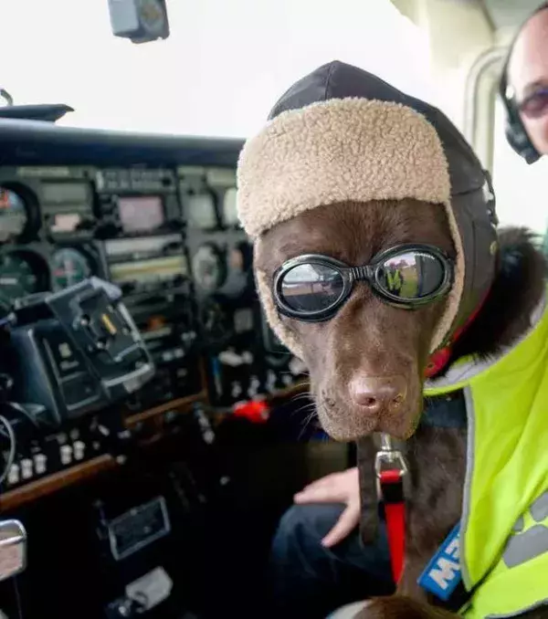 3. Introduce yourself: If you know one of the pilots well, you will be upgraded almost automatically.
