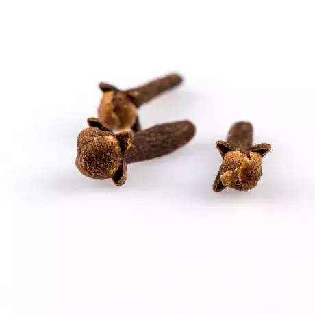 Cloves