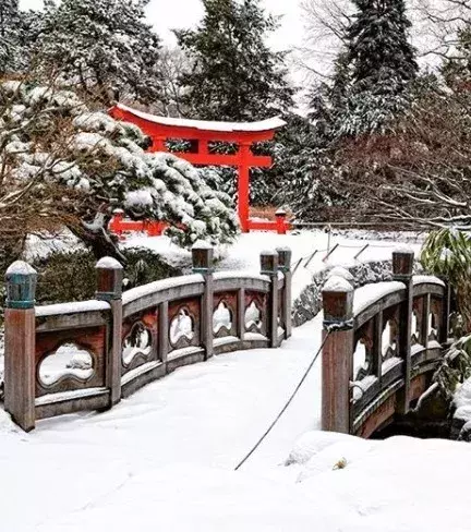 Discover the Brooklyn Botanic Garden