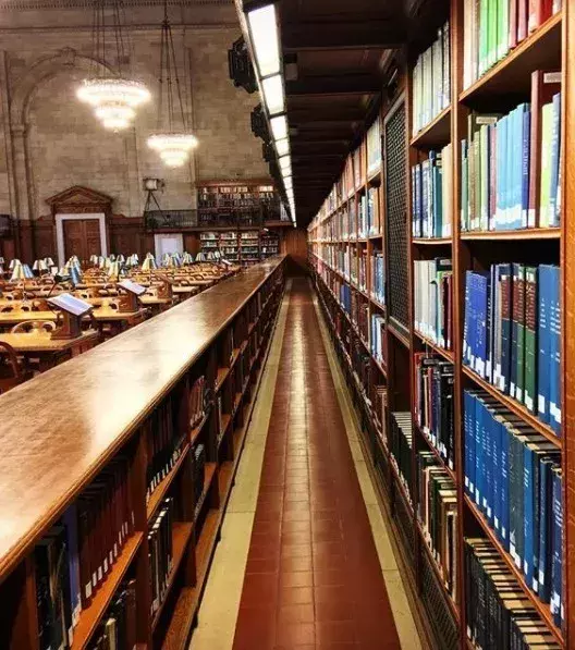 Discover the New York Public Library