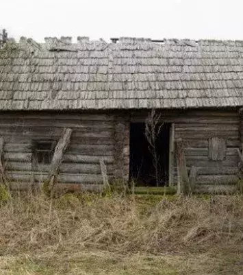 The door to a wooden cabin: you’re generous, loyal and honest. You seek wealth and you will work hard to get it.