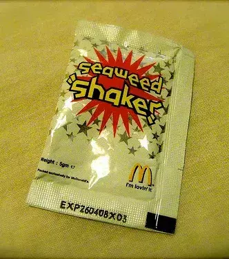 Seaweed Shaker Fries (Asia): a seaweed sauce instead of ketchup or mayo