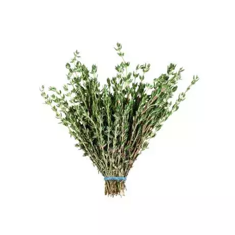 Thyme