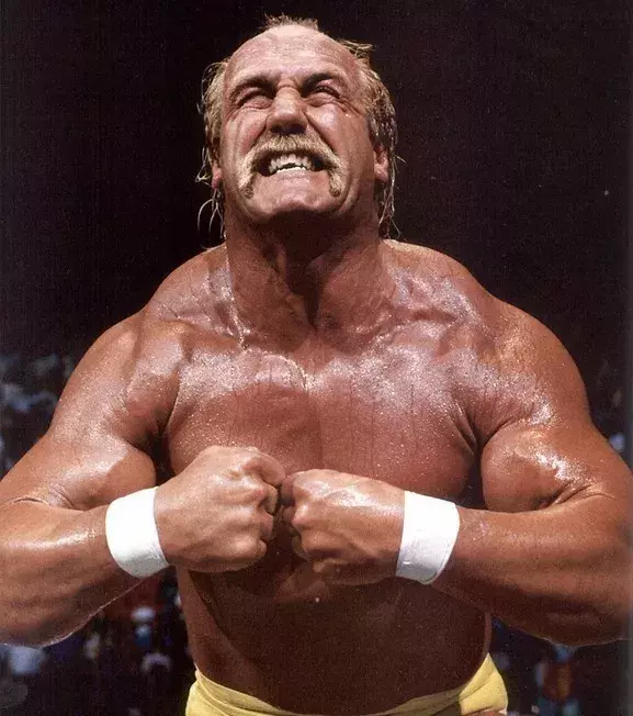 11 - Hulk Hogan