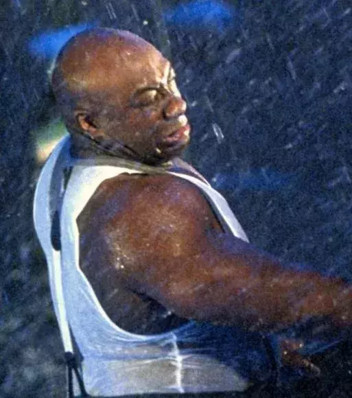 12 - Ving Rhames